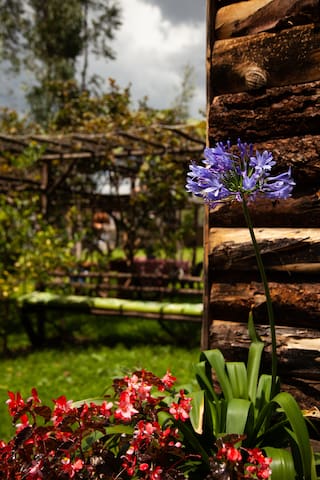 Guest favorite listing in Villa De Leyva