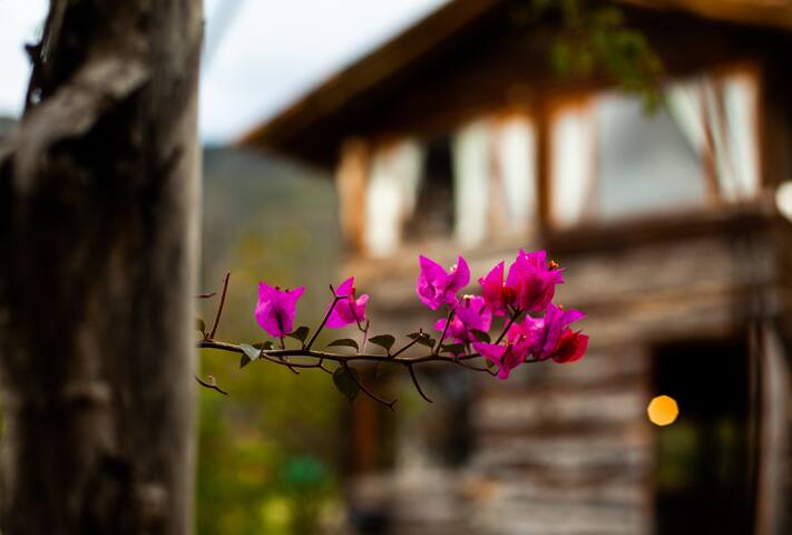 Listing in Villa De Leyva