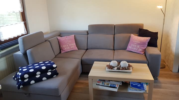 Ferienhaus Mit /Ohne Boot In Lemmer Nl - Lemmer