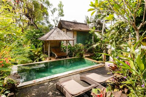 Back to Nature! Beautiful Lush,Jungle & Pool