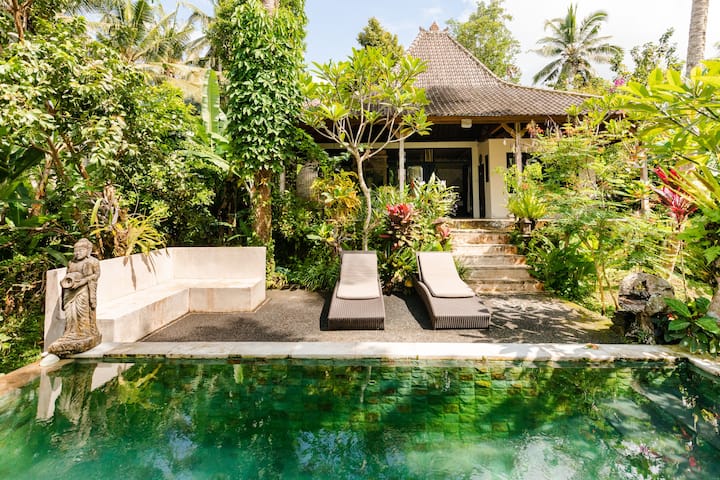 Back To Nature! Beautiful Lush,jungle & Pool - Ubud