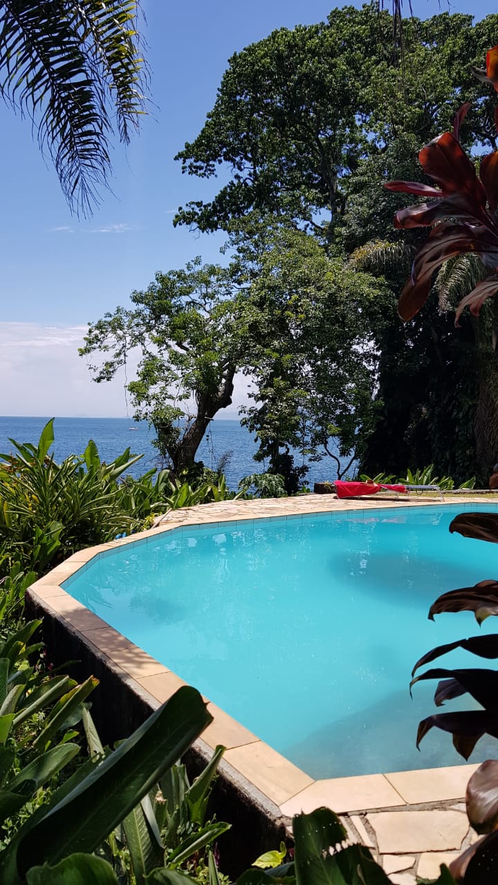 A serene swimming pool is surrounded by lush greenery, with vibrant foliage framing the view. The clear blue water reflects the sky, while the coastline is visible in the background, creating a tranquil outdoor retreat.