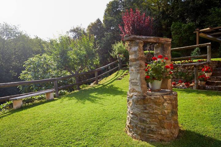 EN PLENA NATURALEZA ( can soler 2 ) gallery image 3