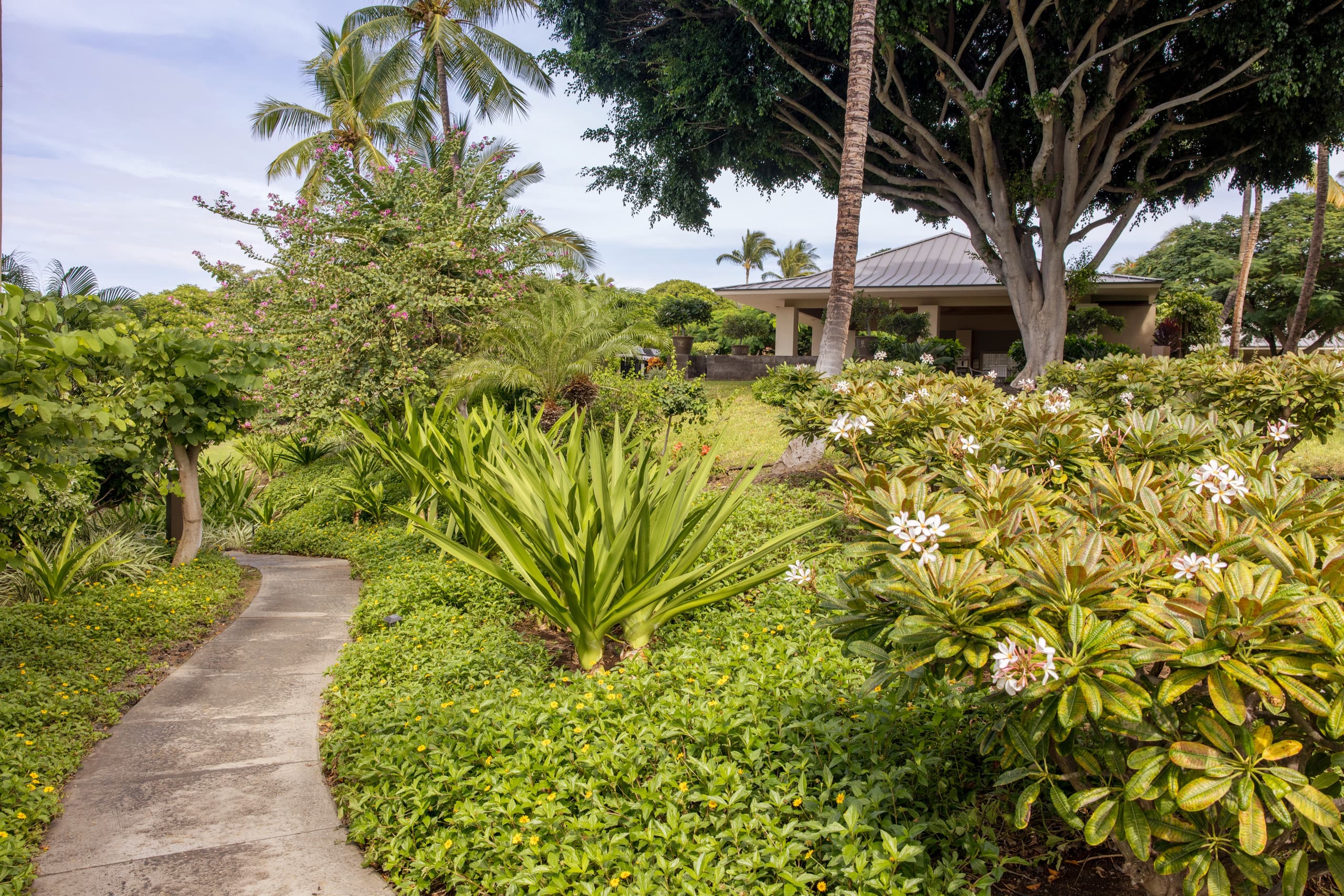 NEW! Mural w Ocean views. Walk to beach & Hilton - Image 42