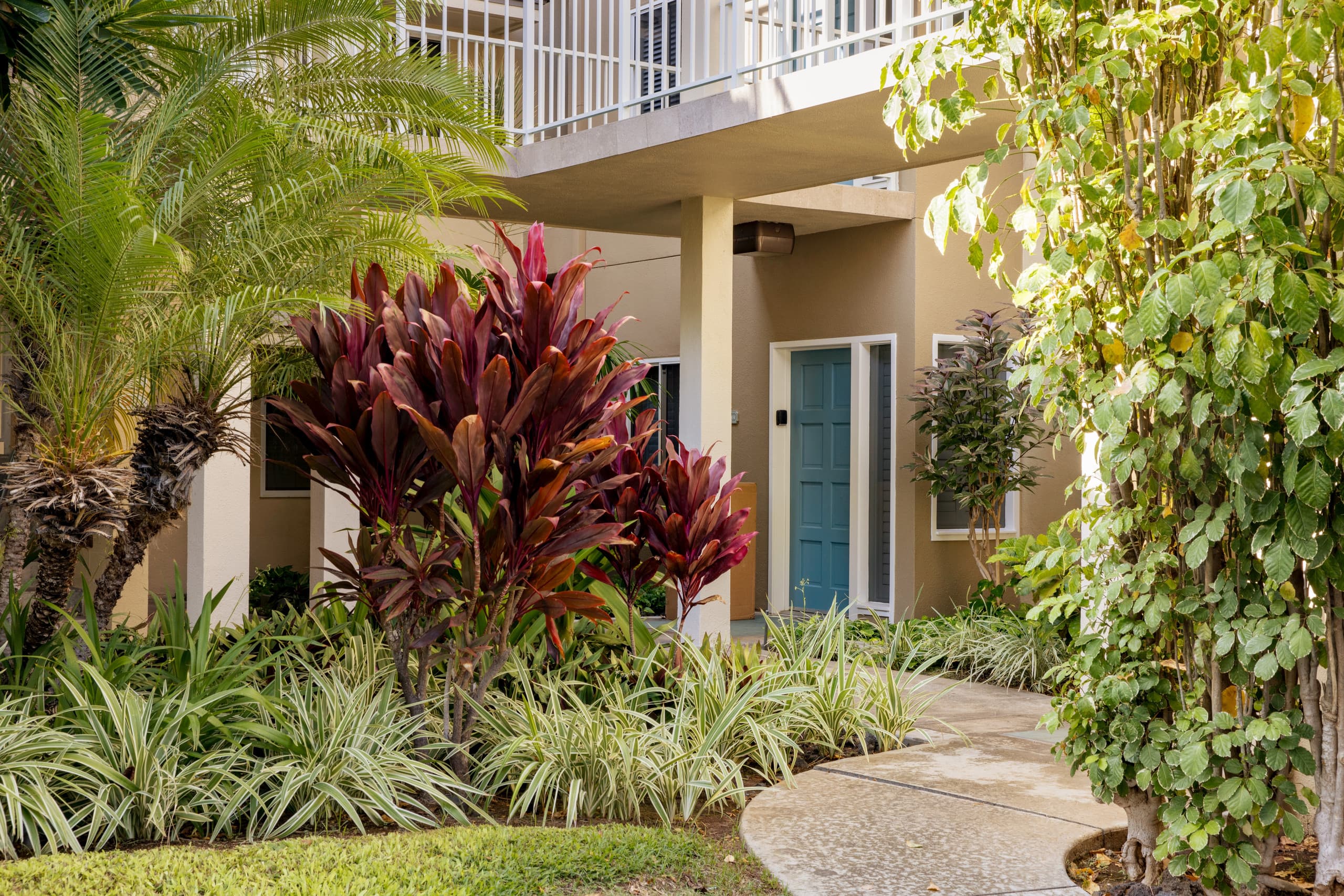 NEW! Mural w Ocean views. Walk to beach & Hilton - Image 23