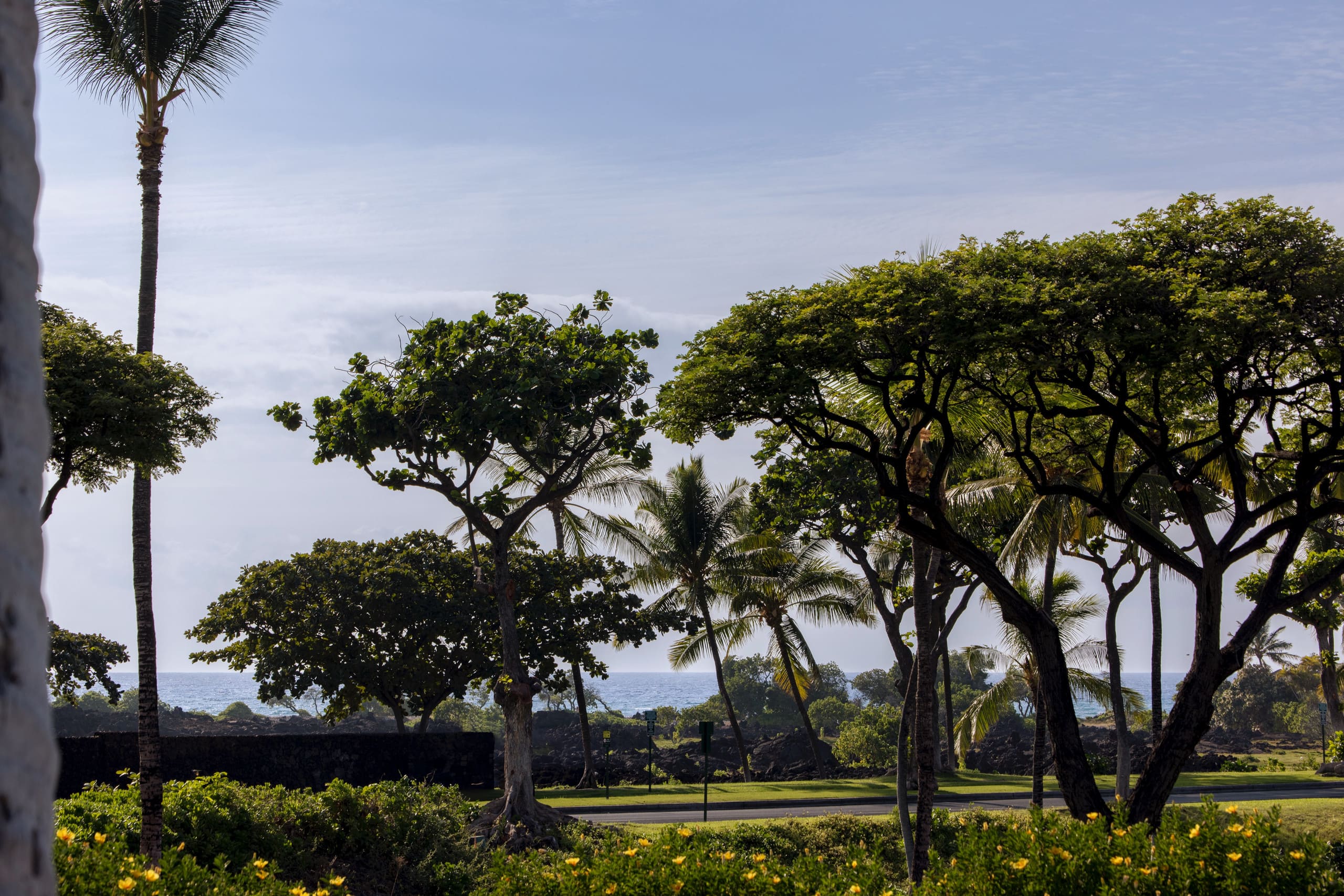 NEW! Mural w Ocean views. Walk to beach & Hilton - Image 48