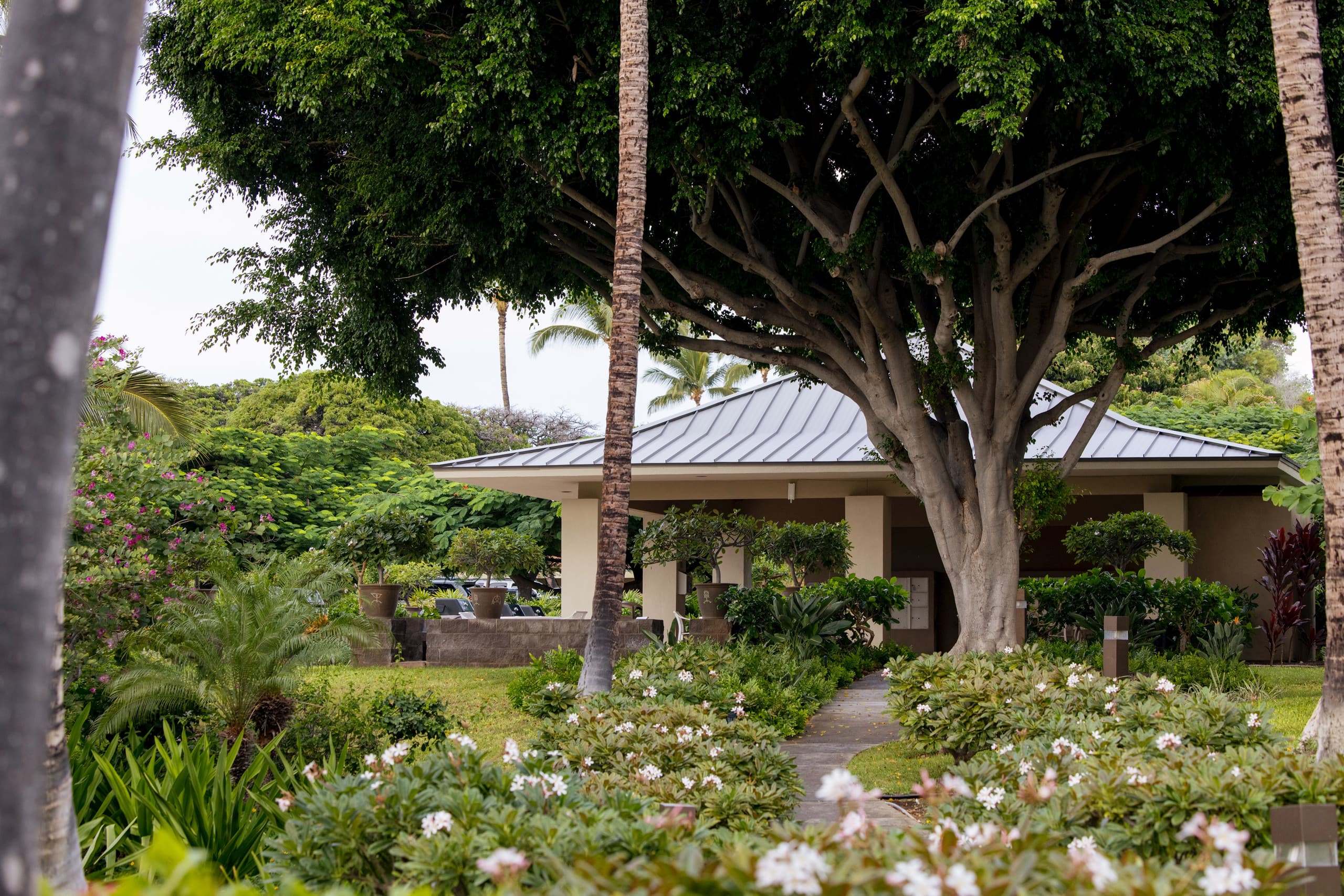 NEW! Mural w Ocean views. Walk to beach & Hilton - Image 31