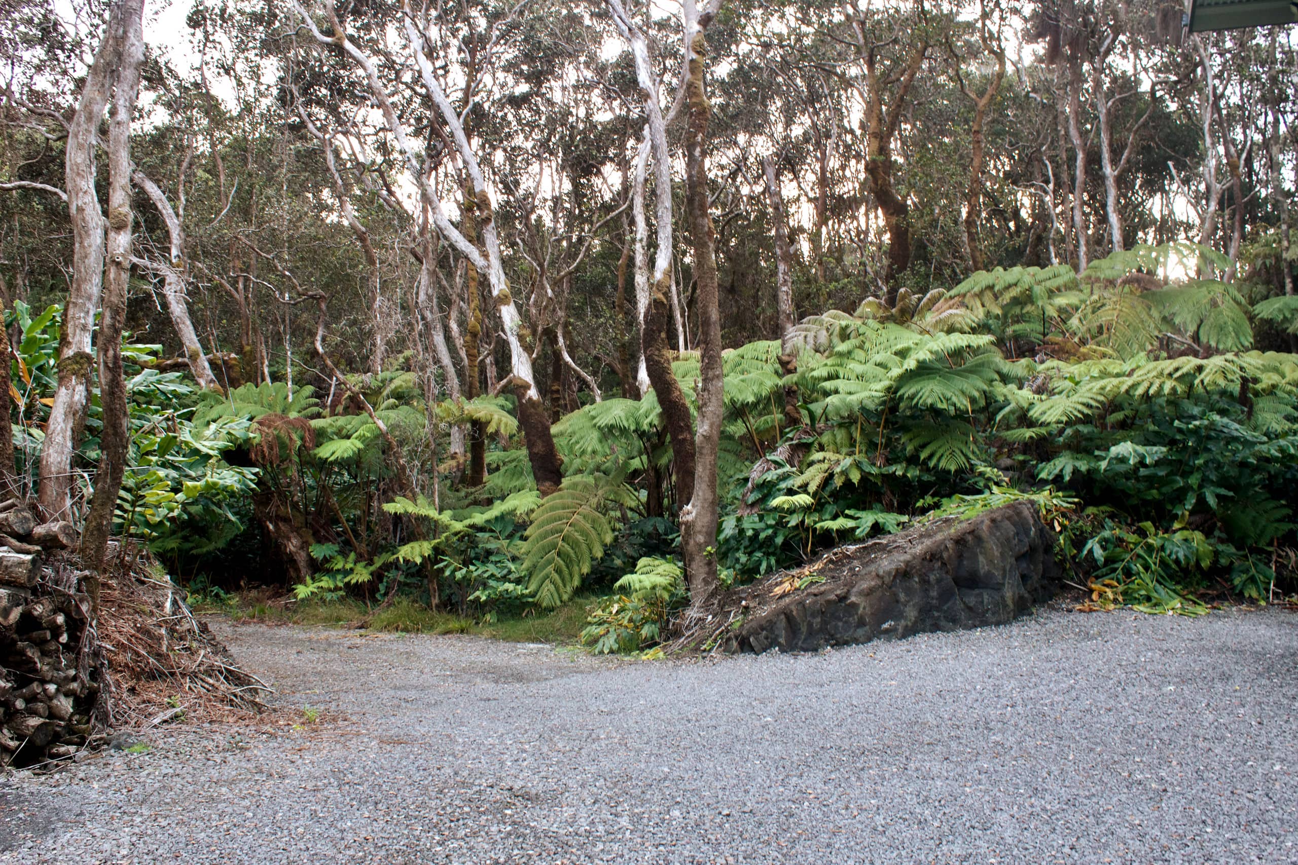 Townhouse in Volcano · ★5.0 · 1 bedroom · 1 bed · 1 bath - Image 13