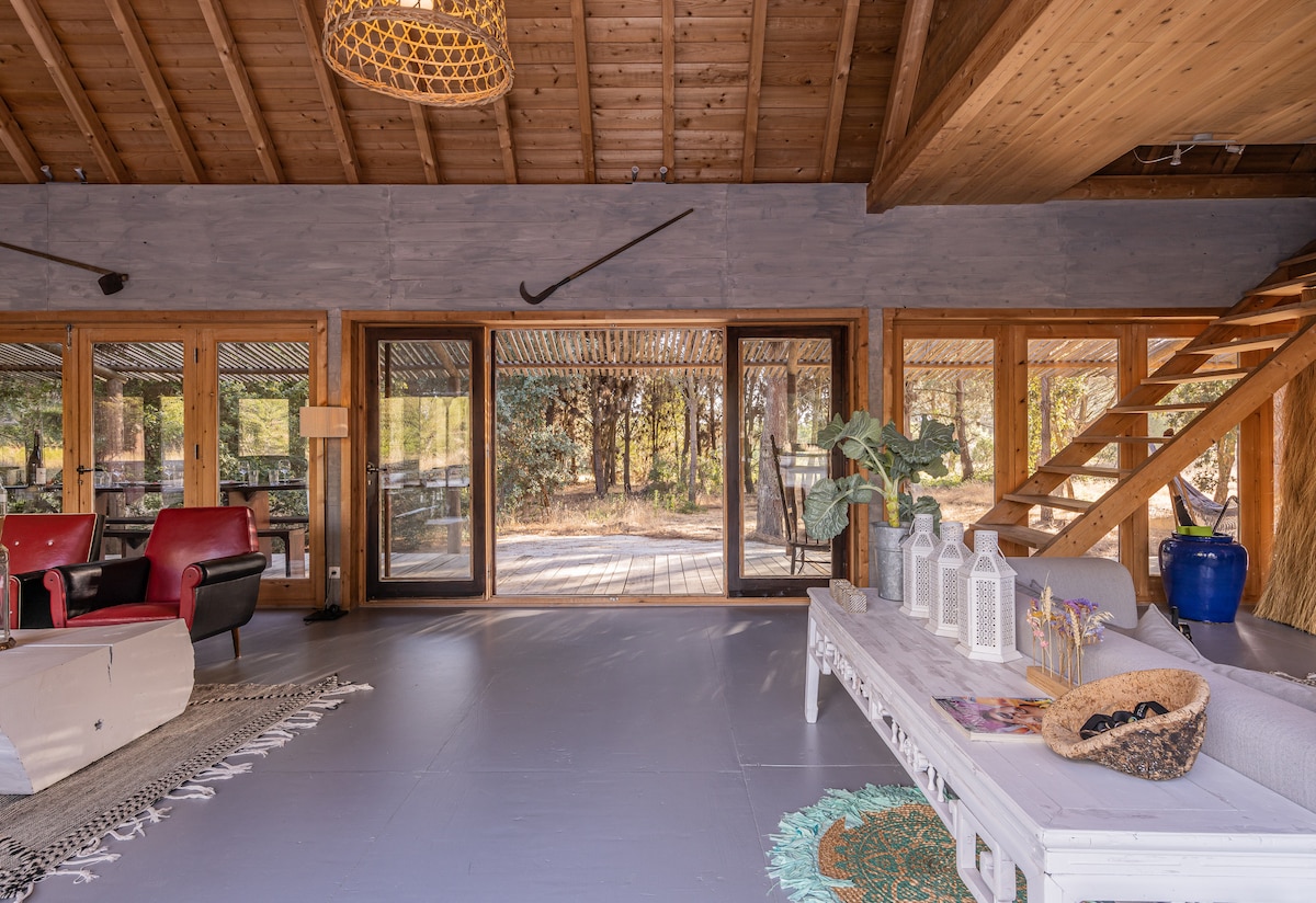 An open-concept living space features large glass doors that provide a view into the surrounding pine forest. Cozy red armchairs create a welcoming seating area, complemented by a stylish coffee table adorned with decorative elements. Natural light fills the room, enhancing the warm wooden ceiling.