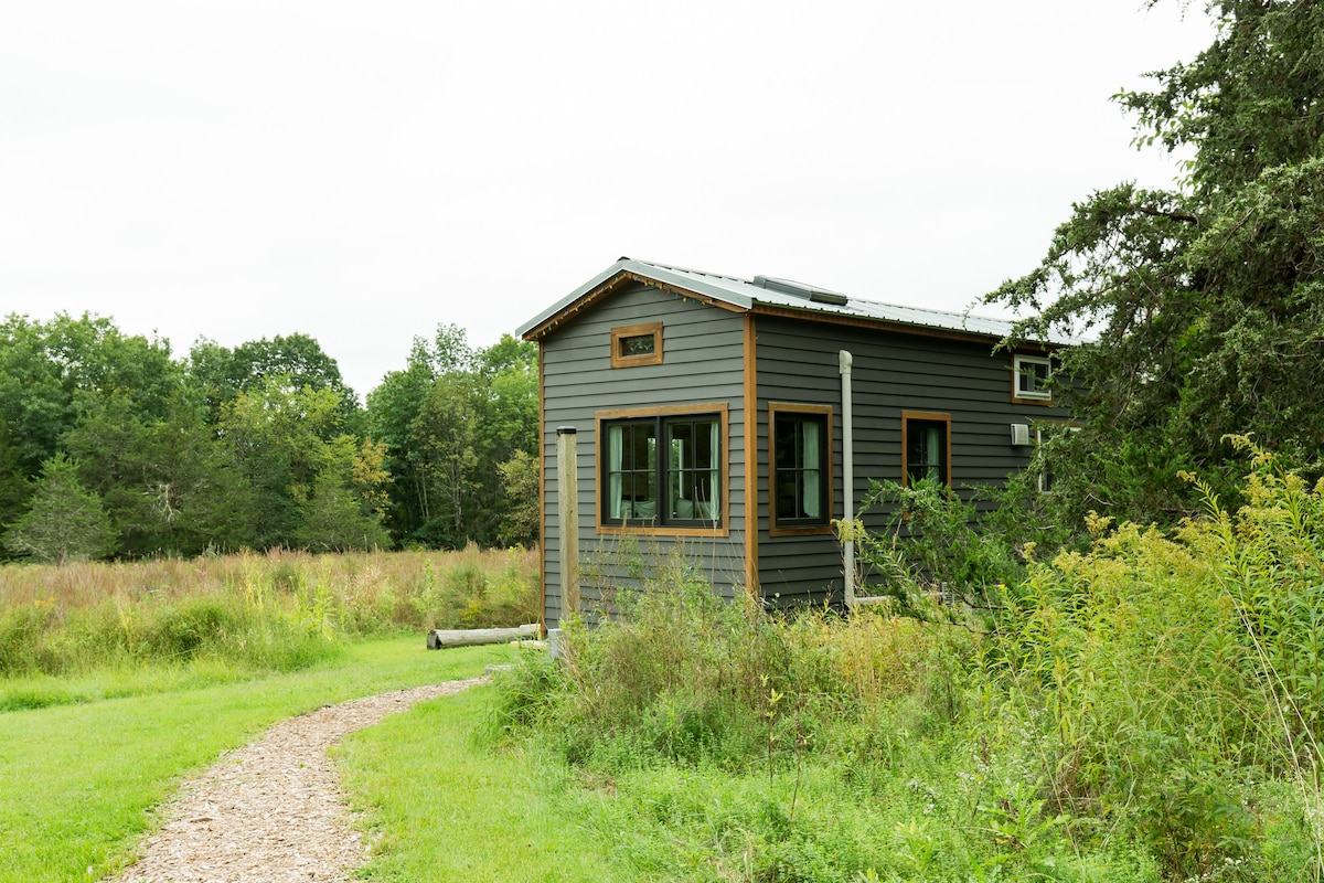 The tiny house is set against a backdrop of lush greenery, with a gravel path leading to its entrance. The exterior features a mix of dark siding and warm wood accents, with large windows providing glimpses of the serene landscape.