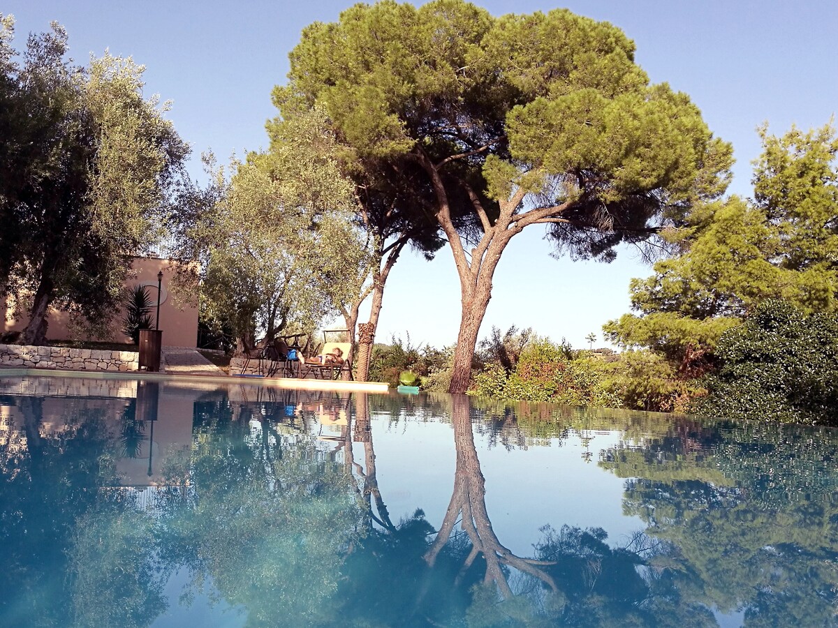 A serene swimming pool reflects the towering pine trees surrounding it, offering a sense of tranquility. Lush greenery and olive trees are visible in the backdrop, enhancing the natural beauty of the space, while a seating area is discreetly positioned near the pool.
