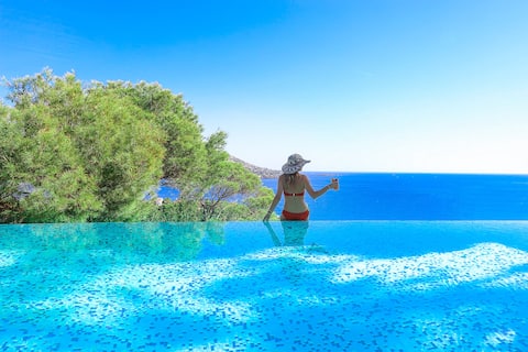 Villa with infinity pool and sea view