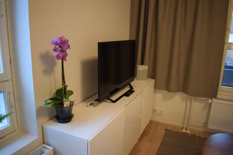 Top performing Airbnb: New Apartment in the city center in Keskusta 8