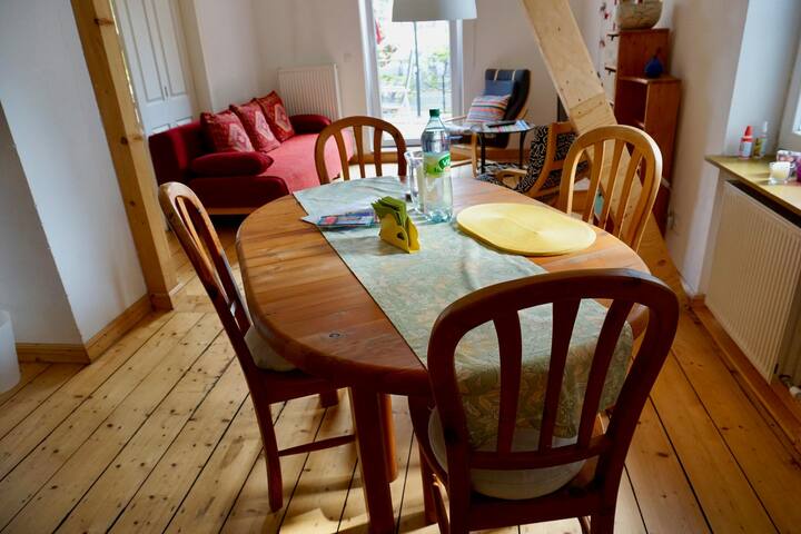 Cosy under the red beech