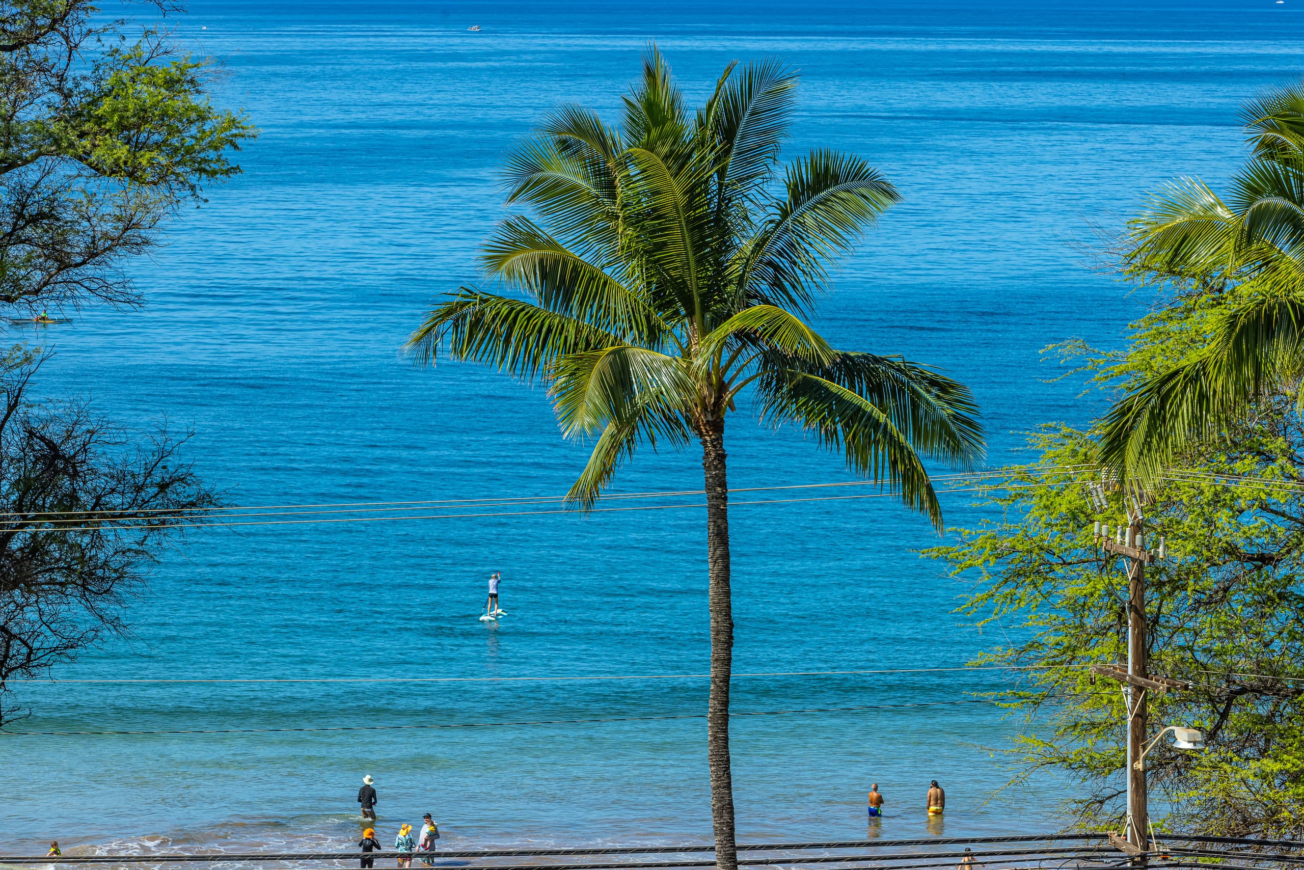 Condo in Kihei · ★4.97 · 1 bedroom · 2 beds · 1 bath - Image 17