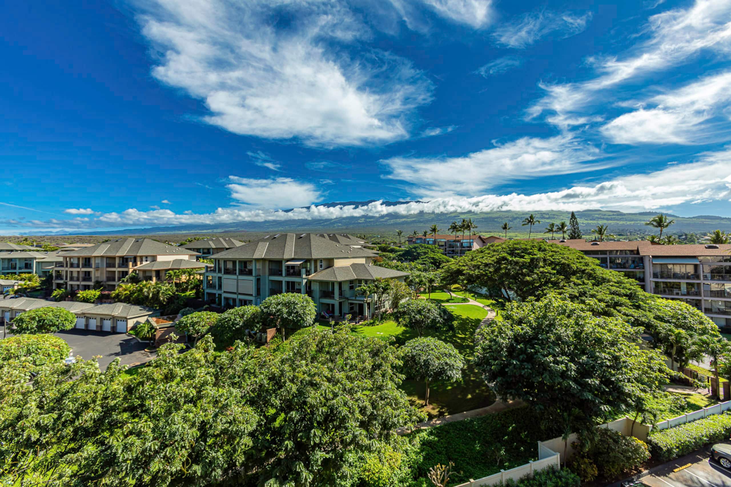 Condo in Kihei · ★4.97 · 1 bedroom · 2 beds · 1 bath - Image 15