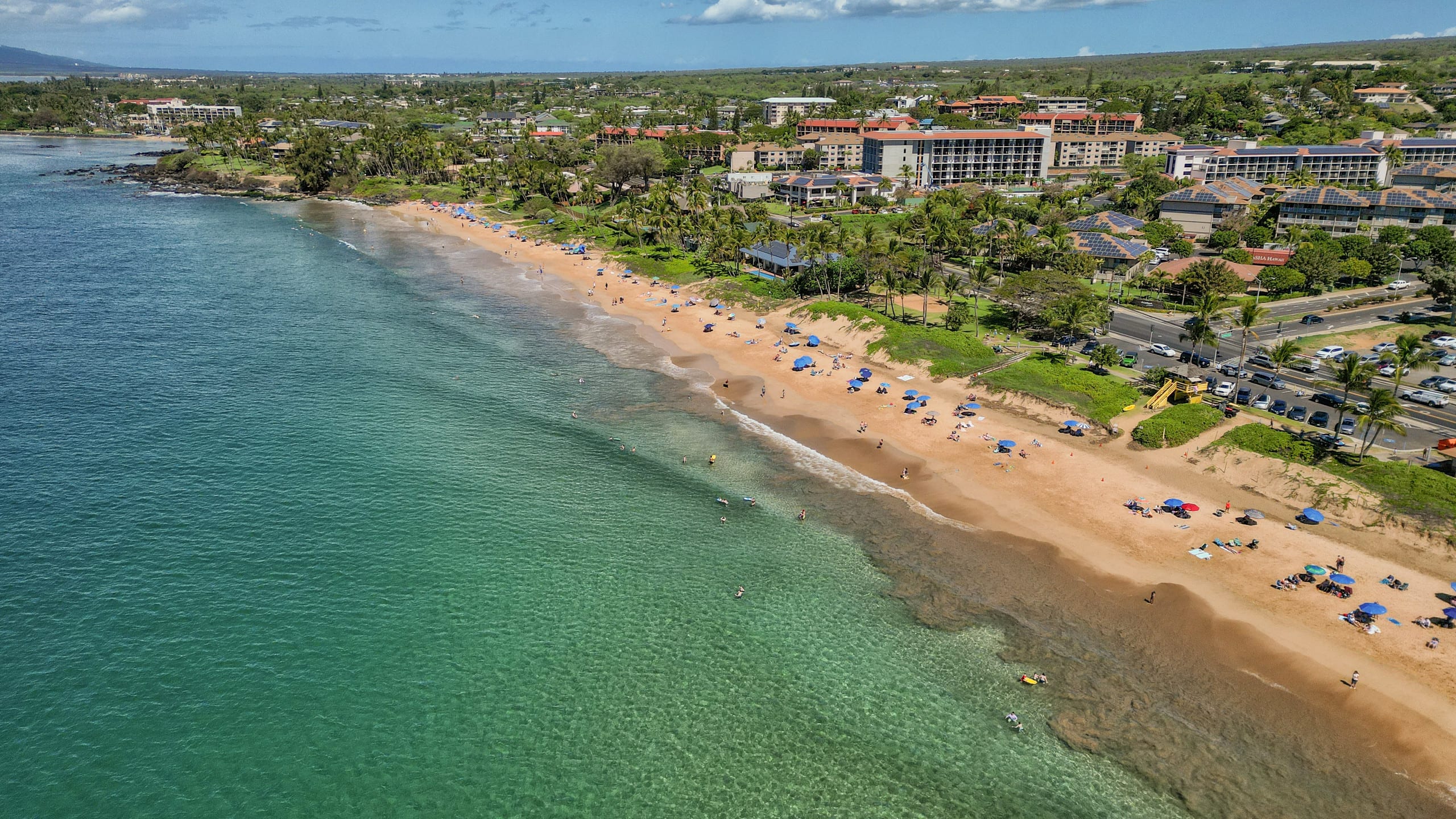 Condo in Kihei · ★4.97 · 1 bedroom · 2 beds · 1 bath - Image 18