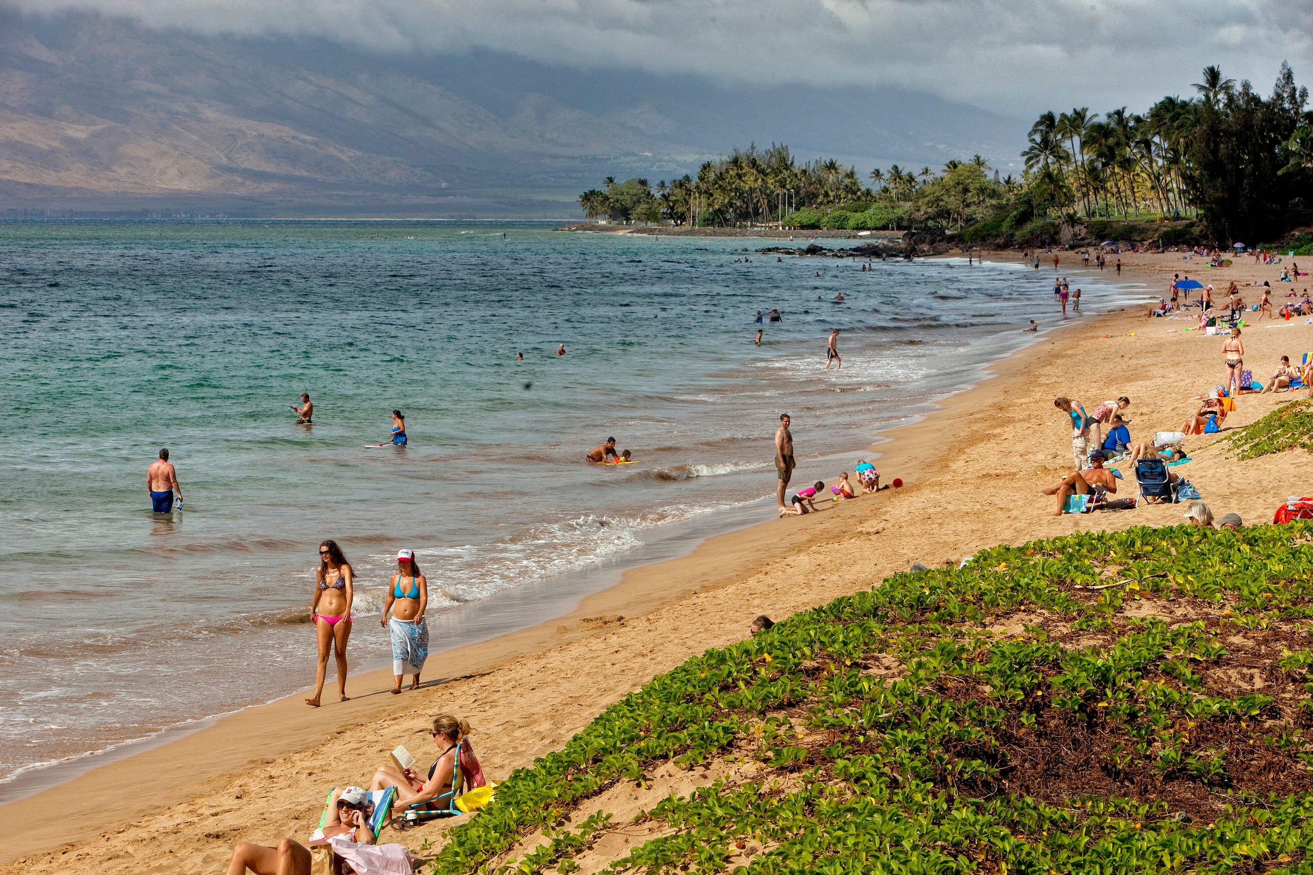 Condo in Kihei · ★4.97 · 1 bedroom · 2 beds · 1 bath - Image 11