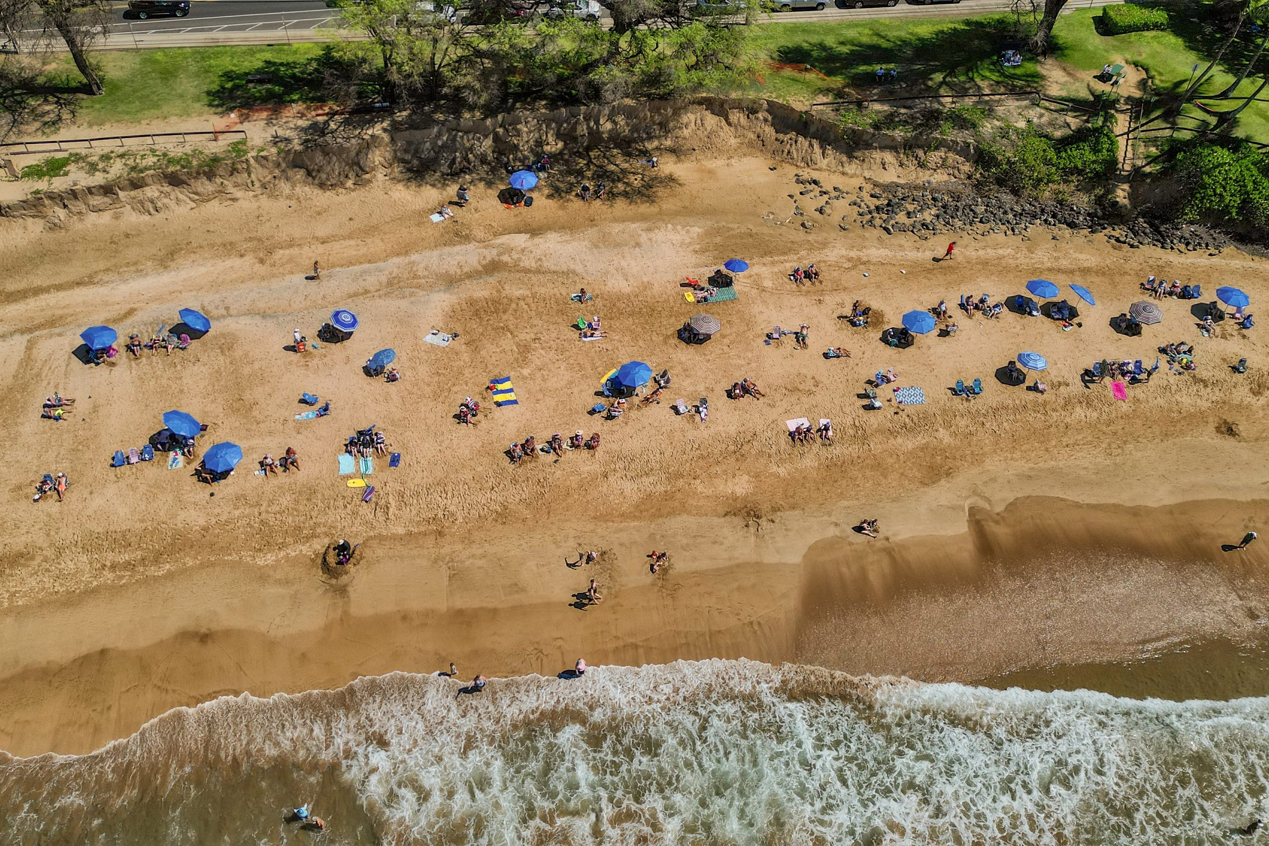 Condo in Kihei · ★4.97 · 1 bedroom · 2 beds · 1 bath - Image 9