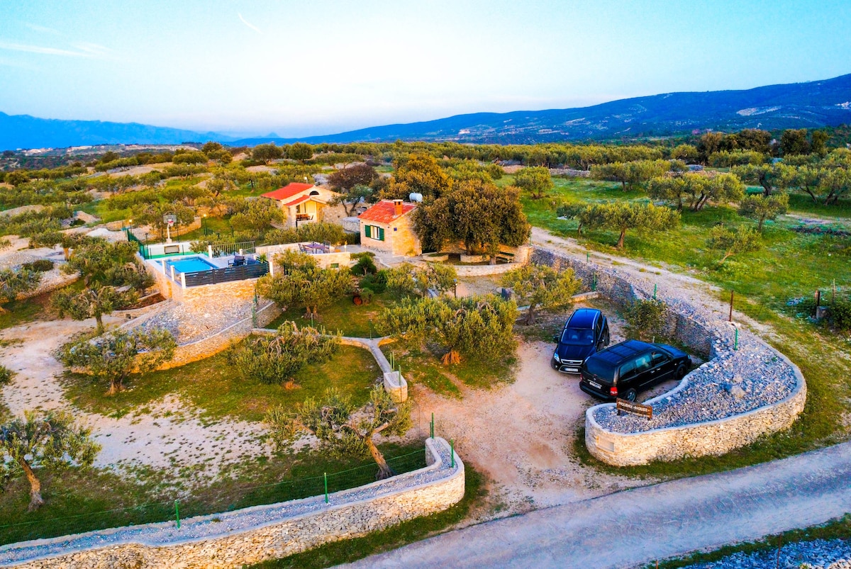 An aerial view of the vacation house is presented, surrounded by a spacious garden with olive trees. A private pool is visible, along with multiple vehicles parked nearby. The landscape features rolling hills and open sky, contributing to a serene rural atmosphere.