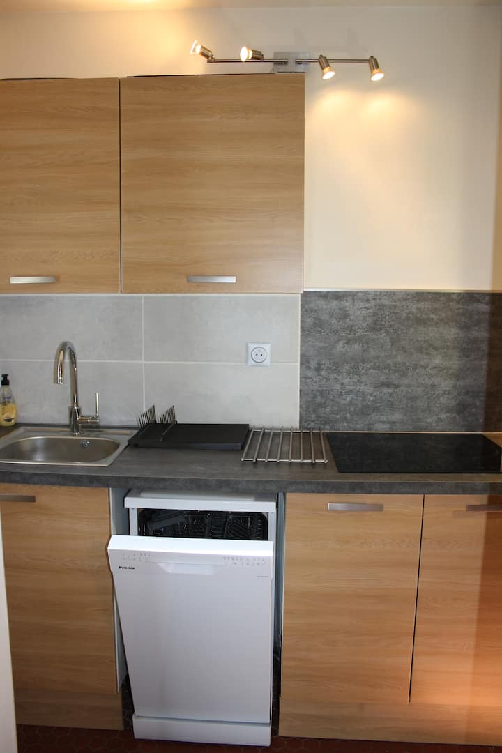 Apartment in Collioure + parking