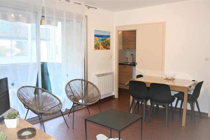 Apartment in Collioure + parking