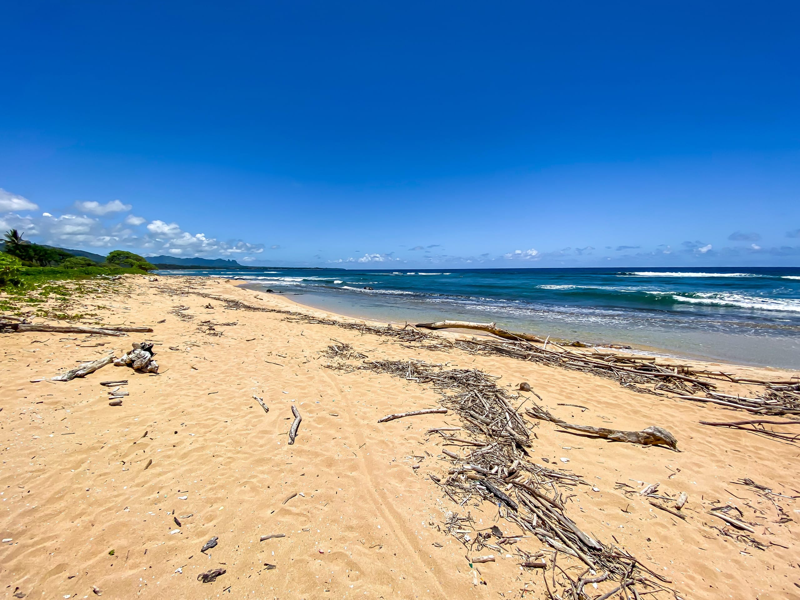 Luxury resort special  last minute - Image 38
