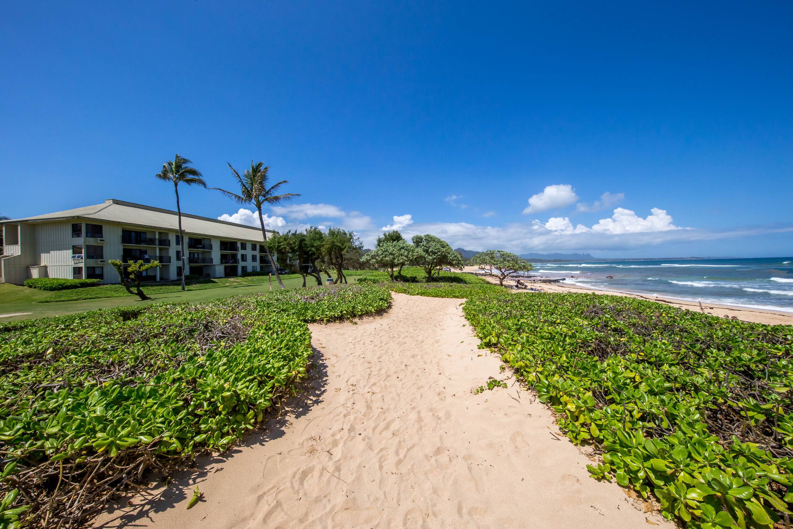 Luxury resort special  last minute - Image 4