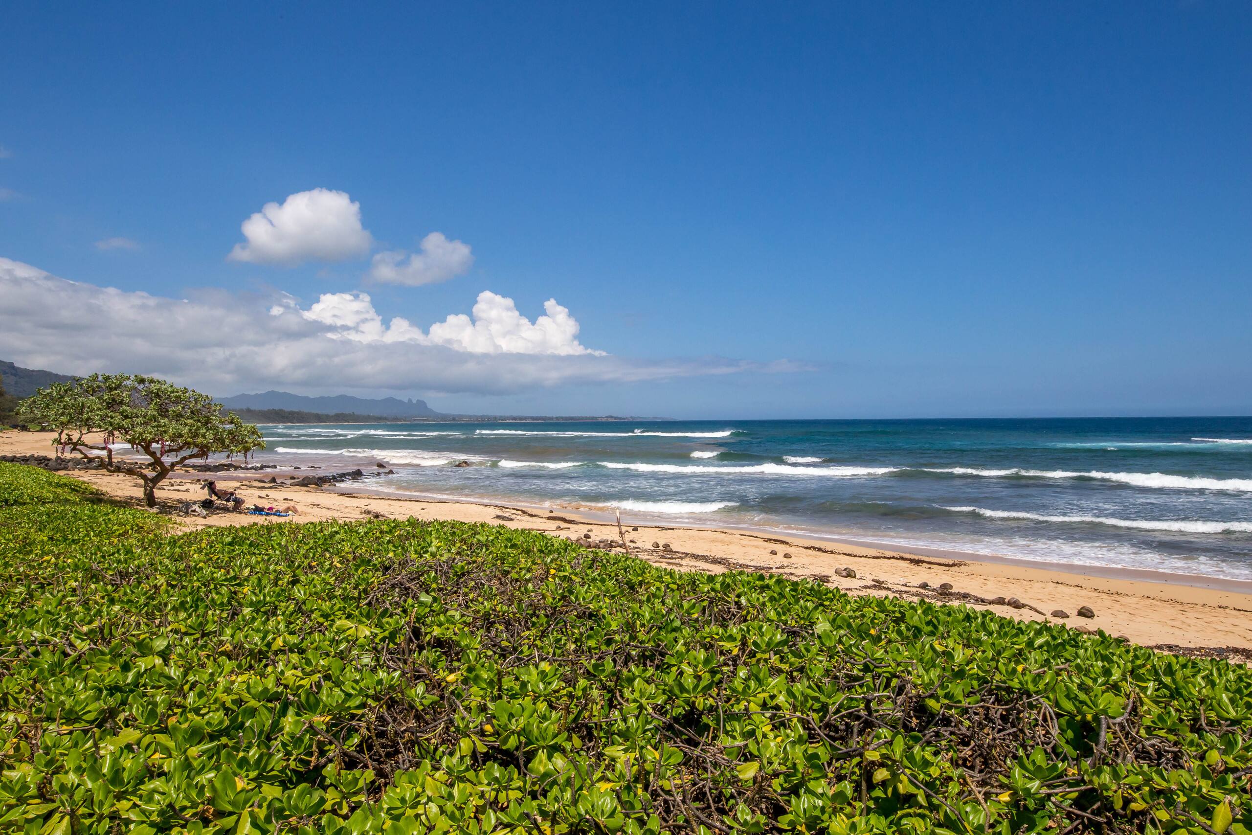 Luxury resort special  last minute - Image 11