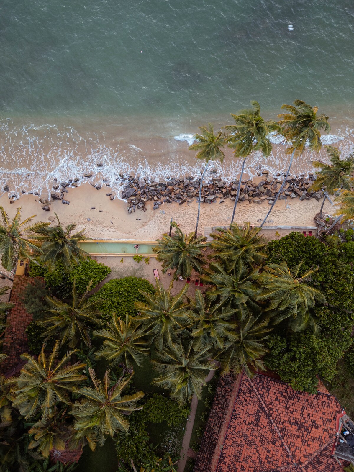 Aerial view of a beach setting featuring soft sandy shores meeting gentle ocean waves. Lush palm trees surround the area, offering a serene backdrop. The scene captures the harmony between nature and the beach, inviting relaxation and tranquility.