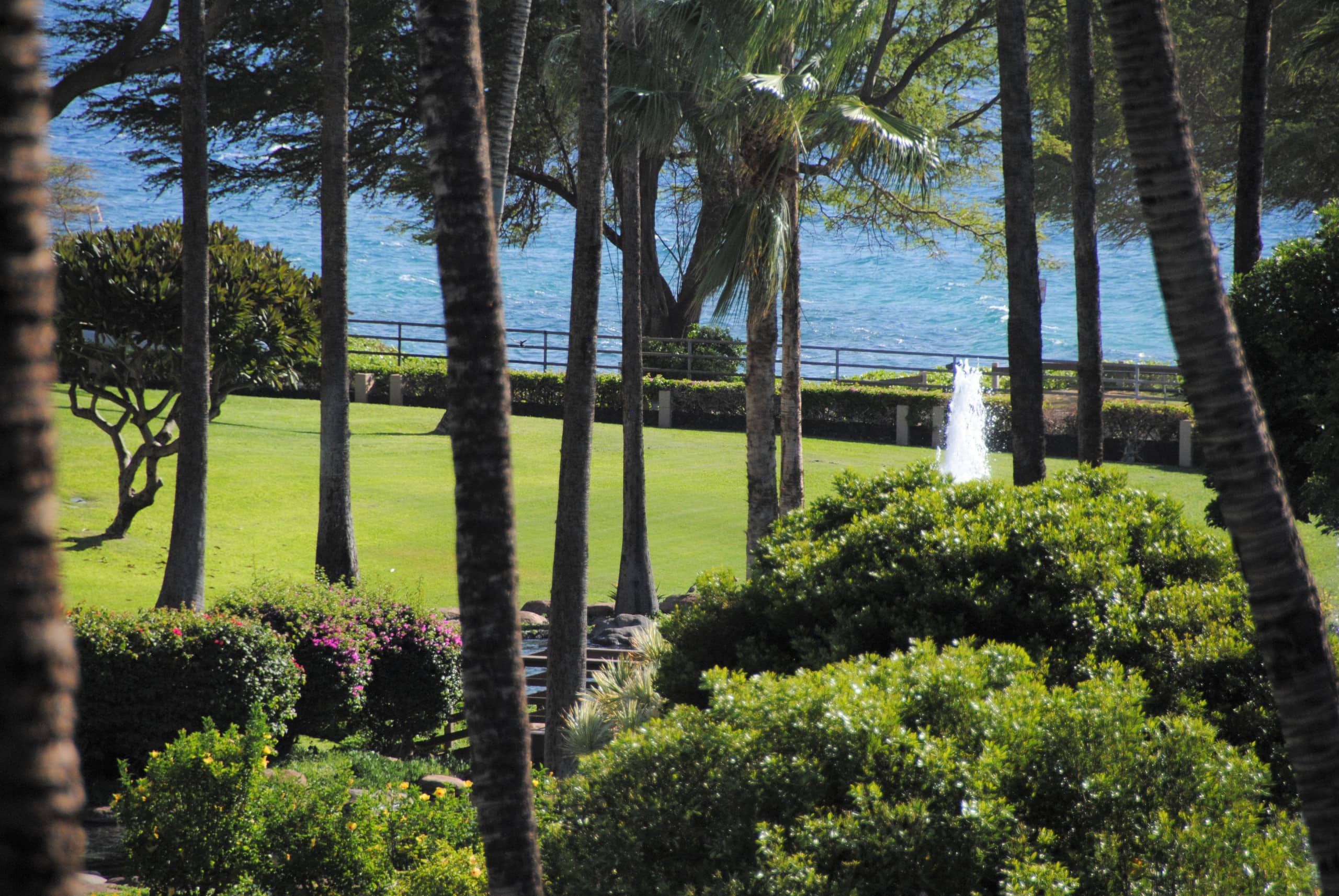 Condo in Kihei · ★5.0 · 3 bedrooms · 4 beds · 3 shared baths - Image 7