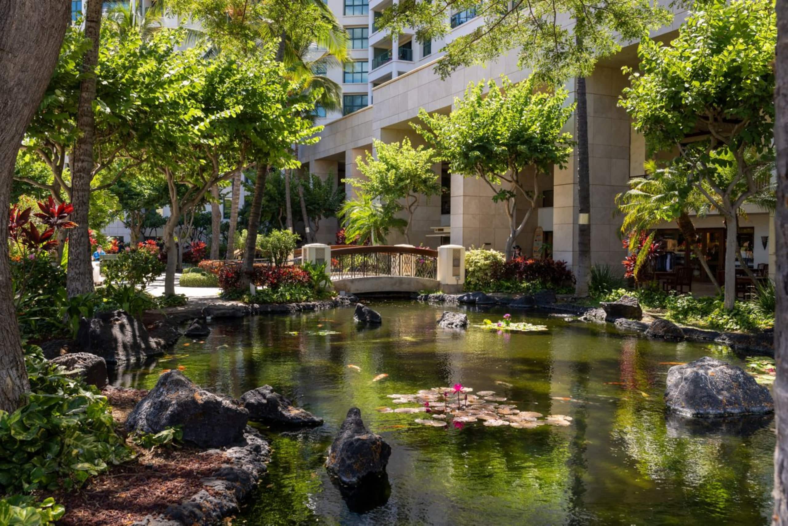 Studio, 1 King, Sofa bed, Balcony Marriott koolina - Image 14