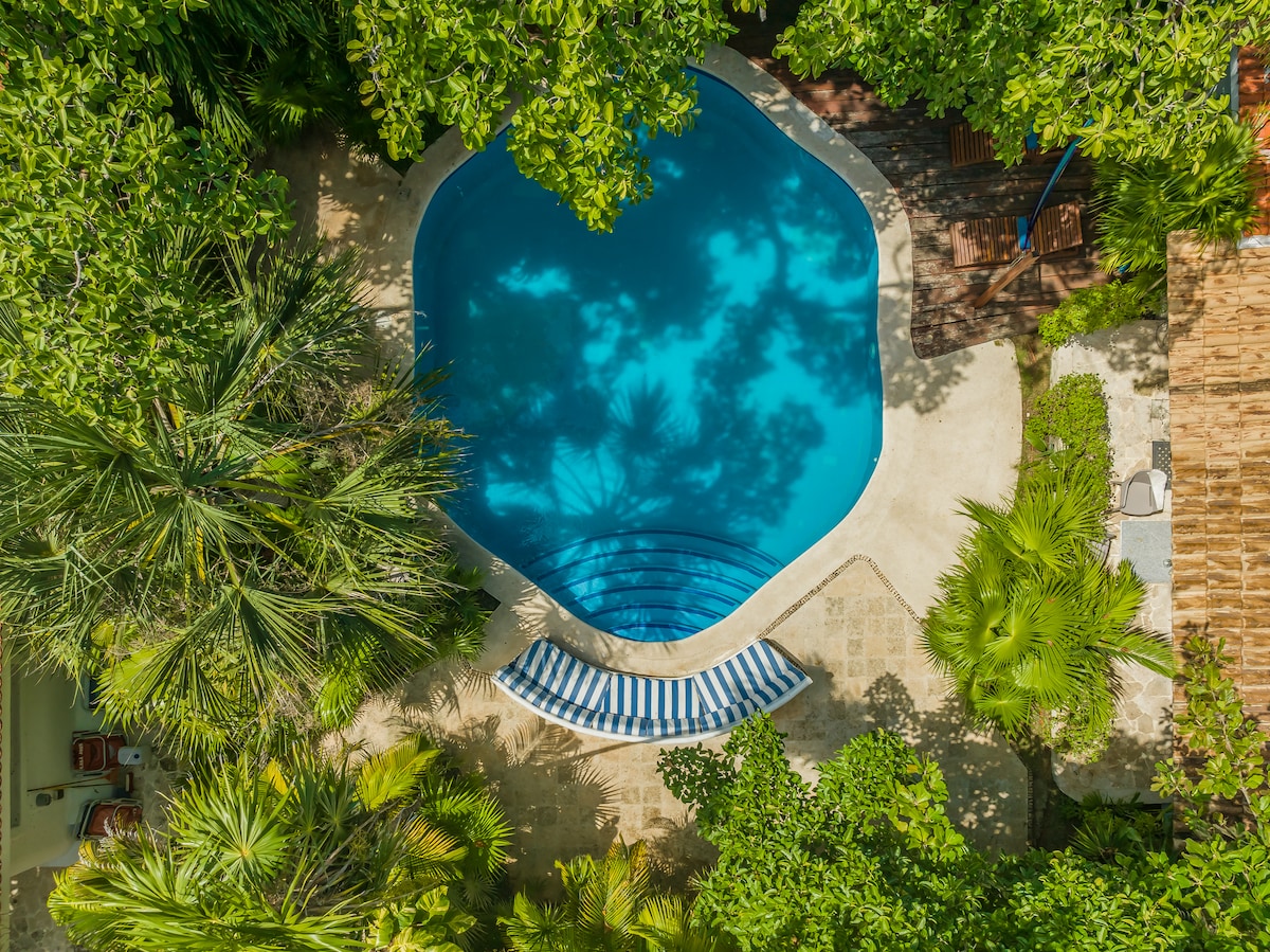An aerial view of a turquoise swimming pool surrounded by lush greenery. A patterned lounge chair sits invitingly on the deck, which features a mix of shaded and sunny areas, creating a serene space for relaxation.