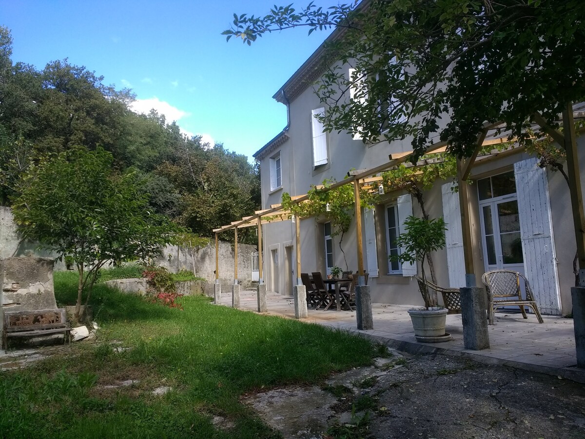 A spacious outdoor area is featured, with a stone patio and greenery surrounding the property. Wooden dining furniture is visible, along with potted plants. A fireplace sits on one side, and a trellis covered in climbing vines provides shade from the sunlight.