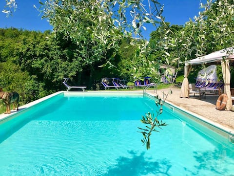 Studio Studio Studio in Mugello, Tuscany Agriturismo