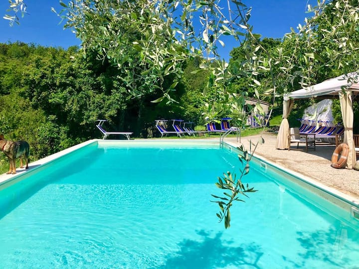 Podere Badia Monolocale In Mugello Con Piscina - Borgo San Lorenzo