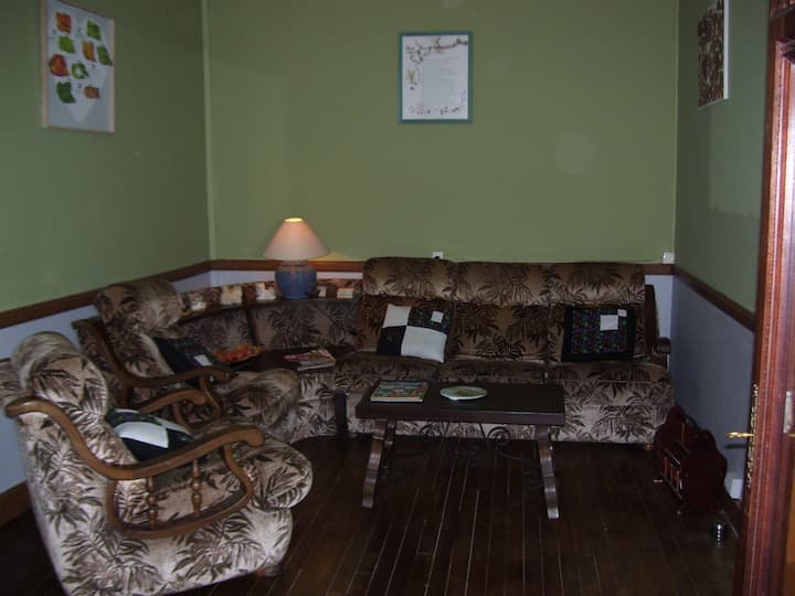 Dnevni boravak s starinskim kaučem, novim TV-om + DVD-om i video playerom, pločama i vinilnim playerom. Dostupni su kaseti i DVD.