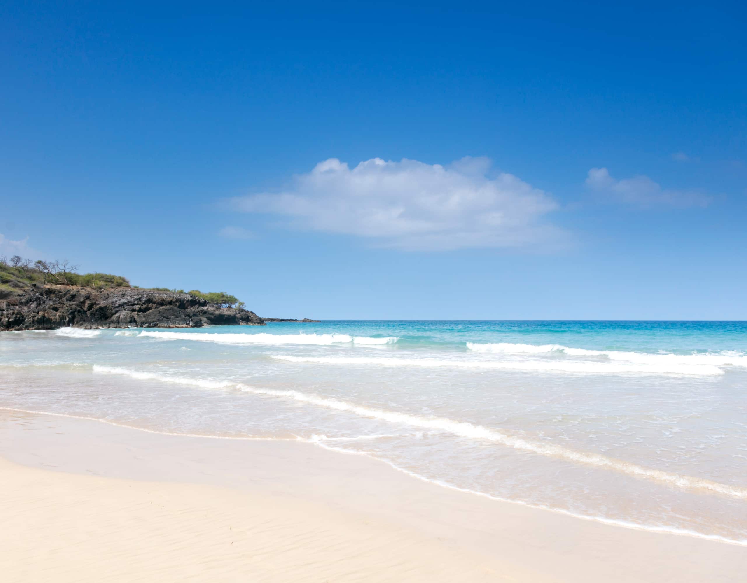 Home in Waimea · ★4.94 · 4 bedrooms · 8 beds · 3 baths - Image 36