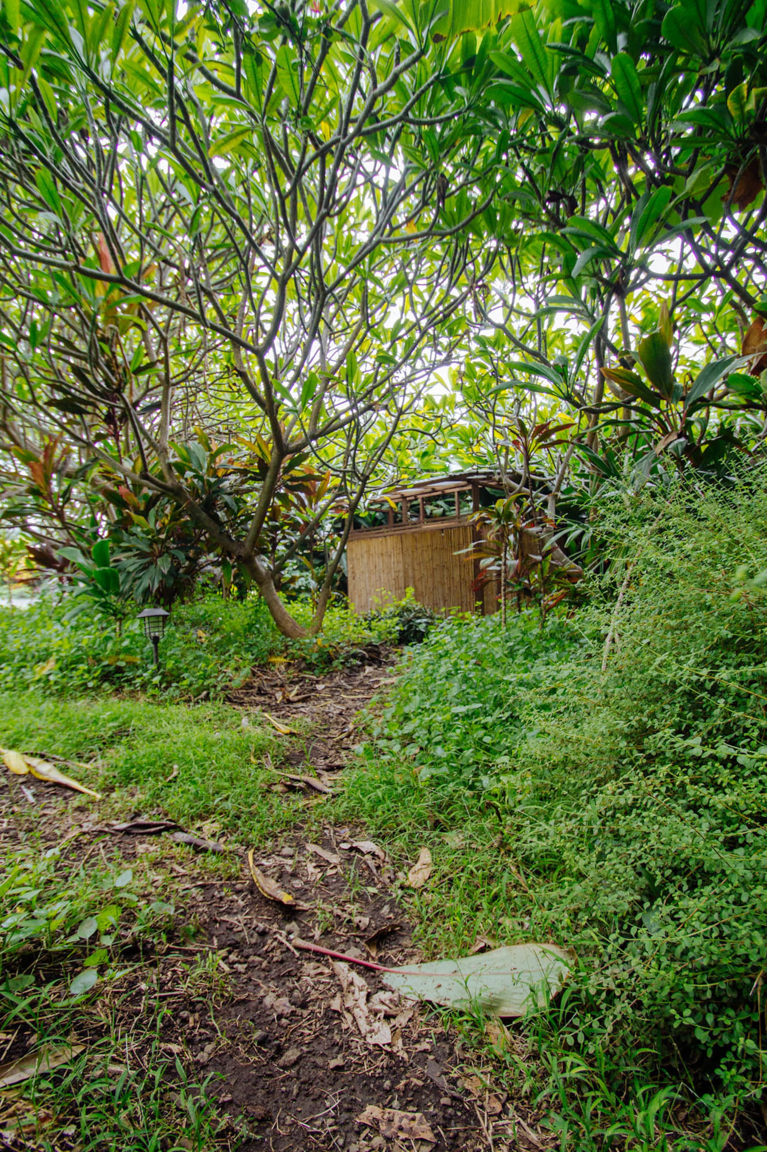 Enchanting Eco-Hideaway: Bohemian Retreat - Image 21