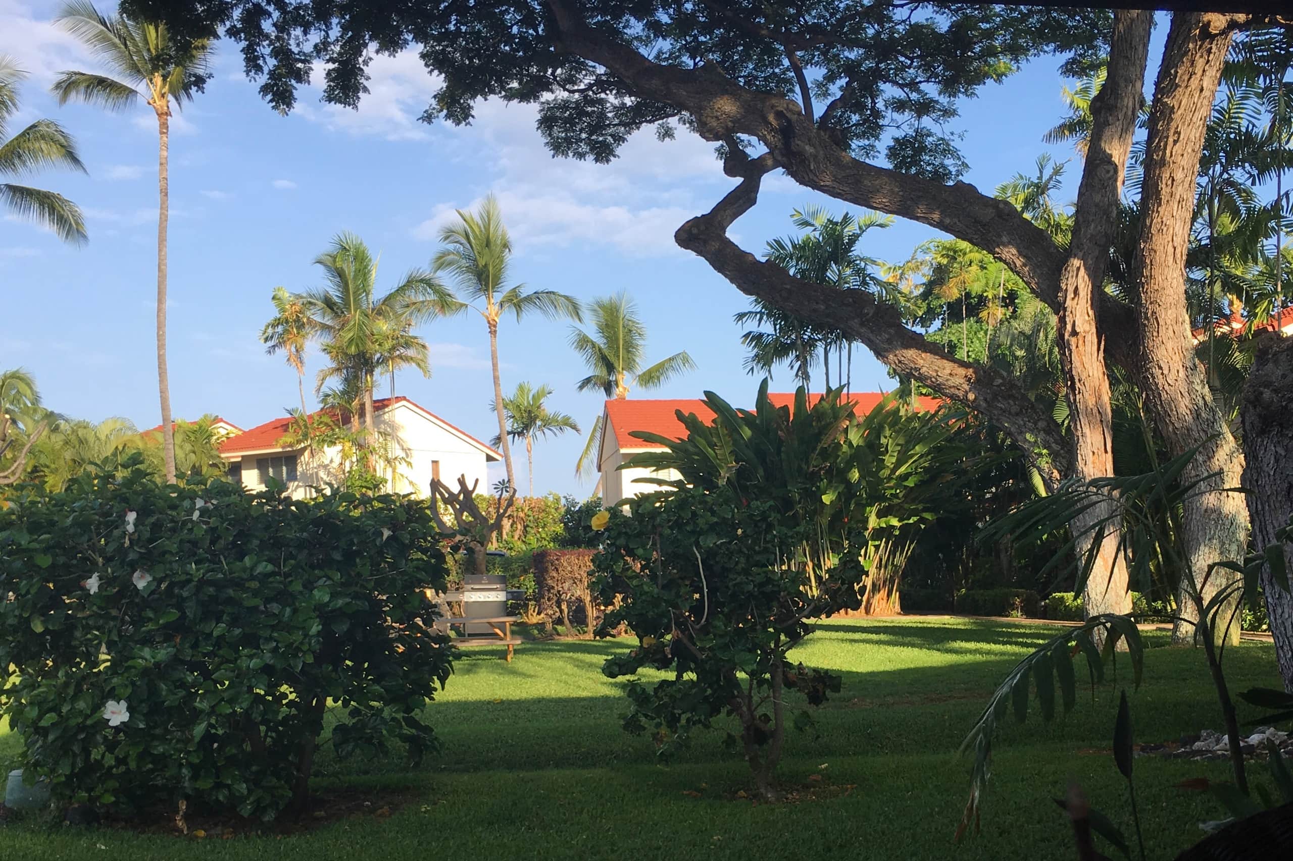 Townhouse in Kailua-Kona · ★4.89 · 2 bedrooms · 3 beds · 2 private baths - Image 11