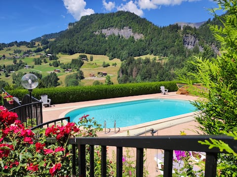 Spacious, Cozy/ SPA/SKI chalet Espace Diamant