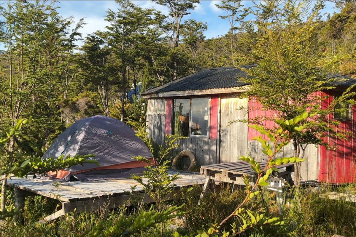 A rustic cabin is surrounded by native trees, featuring a wooden deck and a brightly colored tent nearby. The structure is constructed from weathered wood, with a black metal roof and red accents on the walls. Natural greenery frames the view.