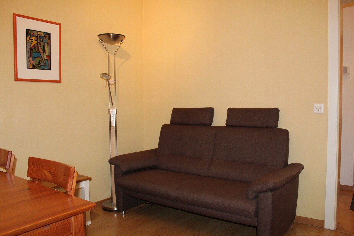 Successful Airbnb property: Apartment in the city center in Sion