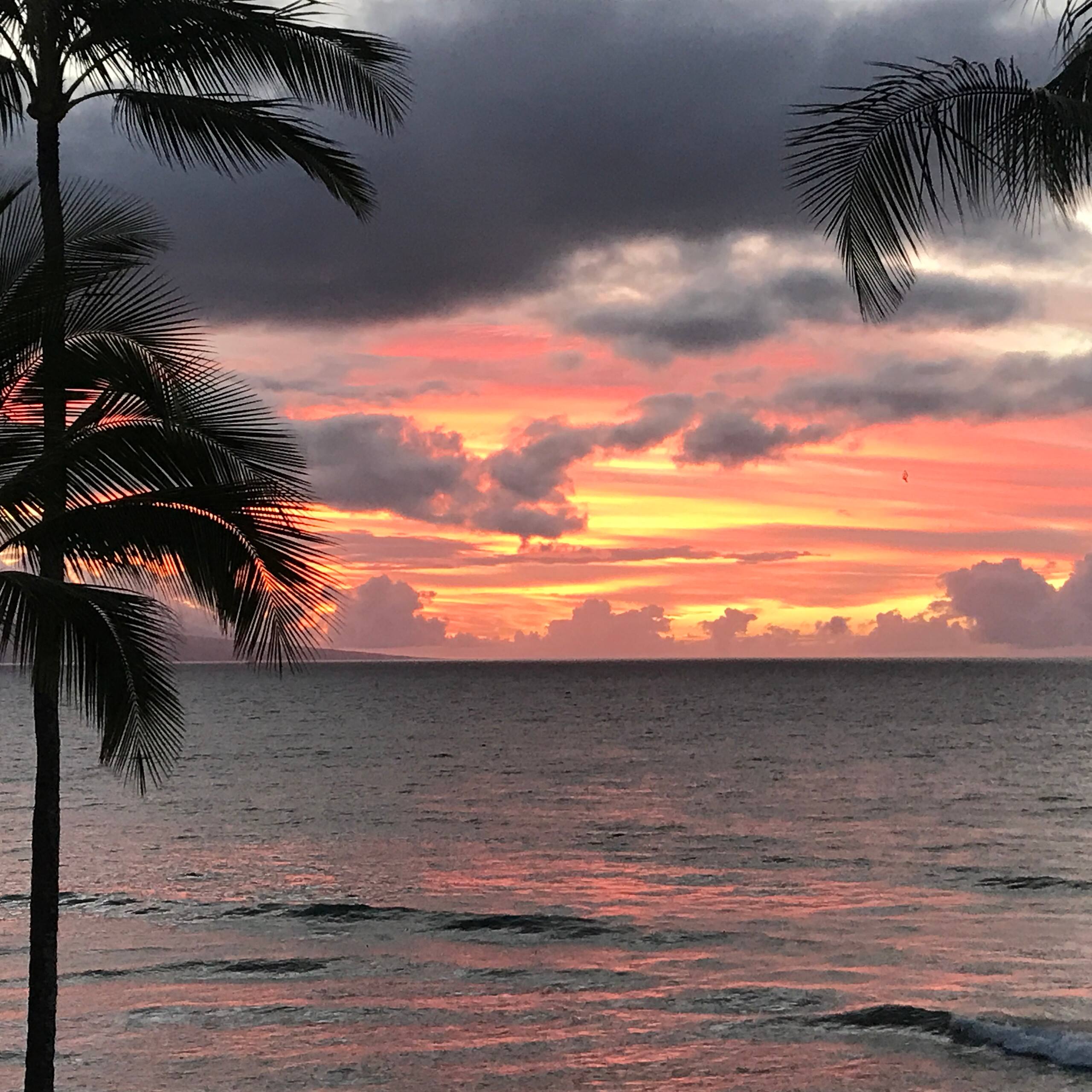 Condo in Lahaina · ★4.88 · 2 bedrooms · 4 beds · 2 private baths - Image 18