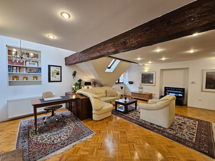 อพาร์ทเมนท์นีน่าทัวร์ในลูบลิยานาพื้นที่นั่งเล่นพร้อมทีวี