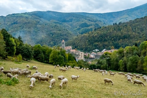 Total Peace and quiet on the top of the mountain,
