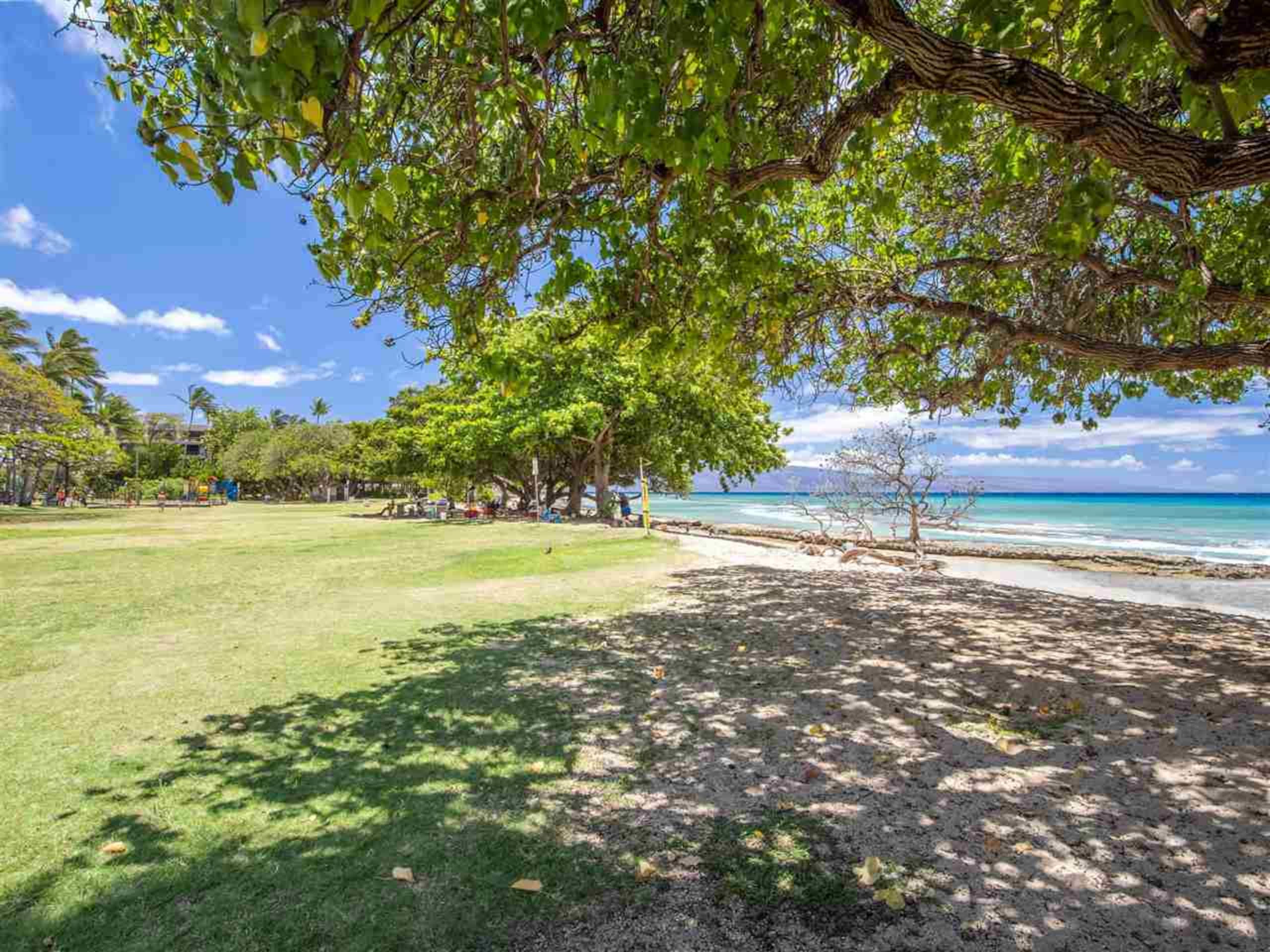 A jewel on Oceanfront & Breath Taking Views. - Photo 3