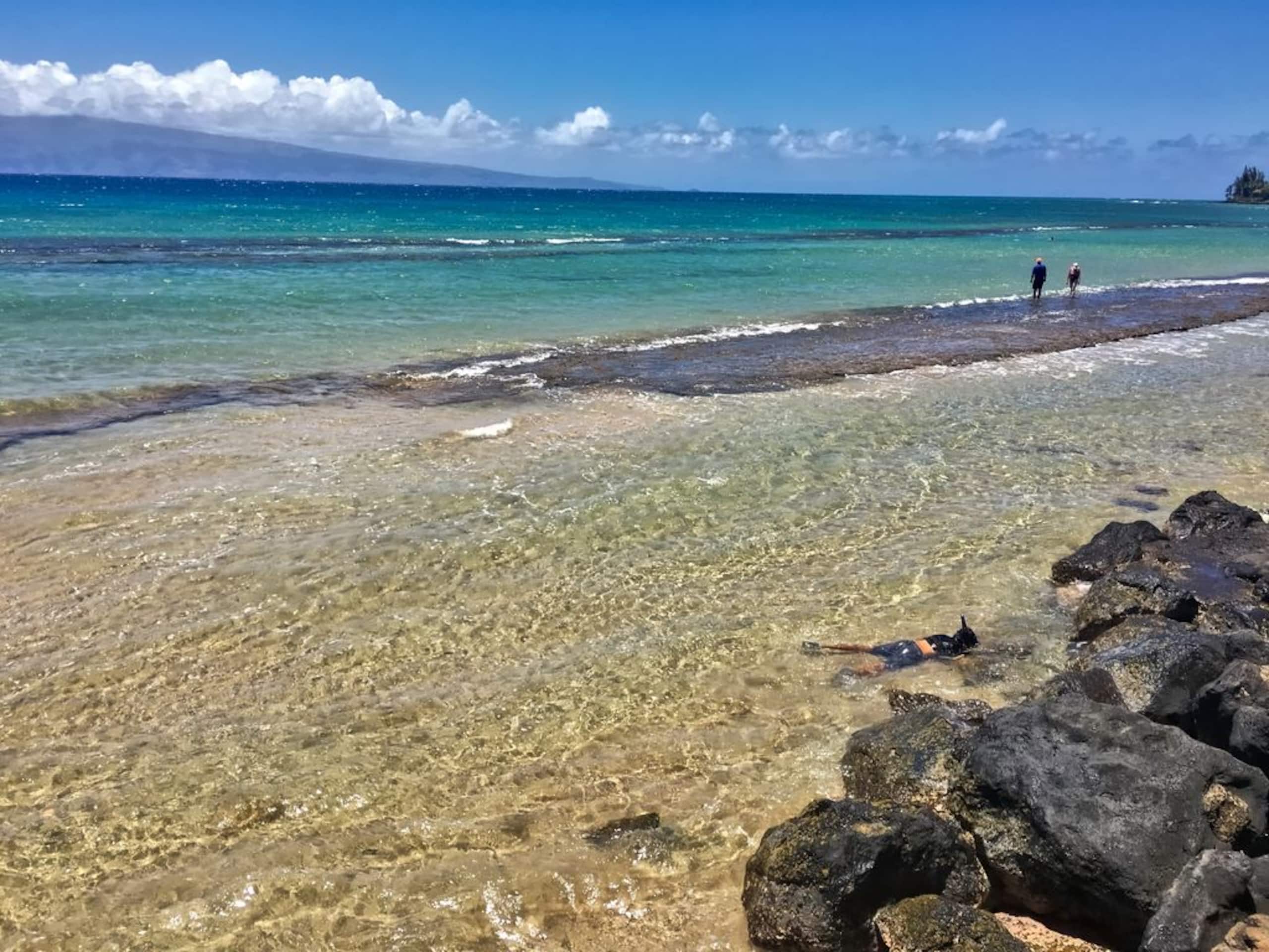 A jewel on Oceanfront & Breath Taking Views. - Photo 10
