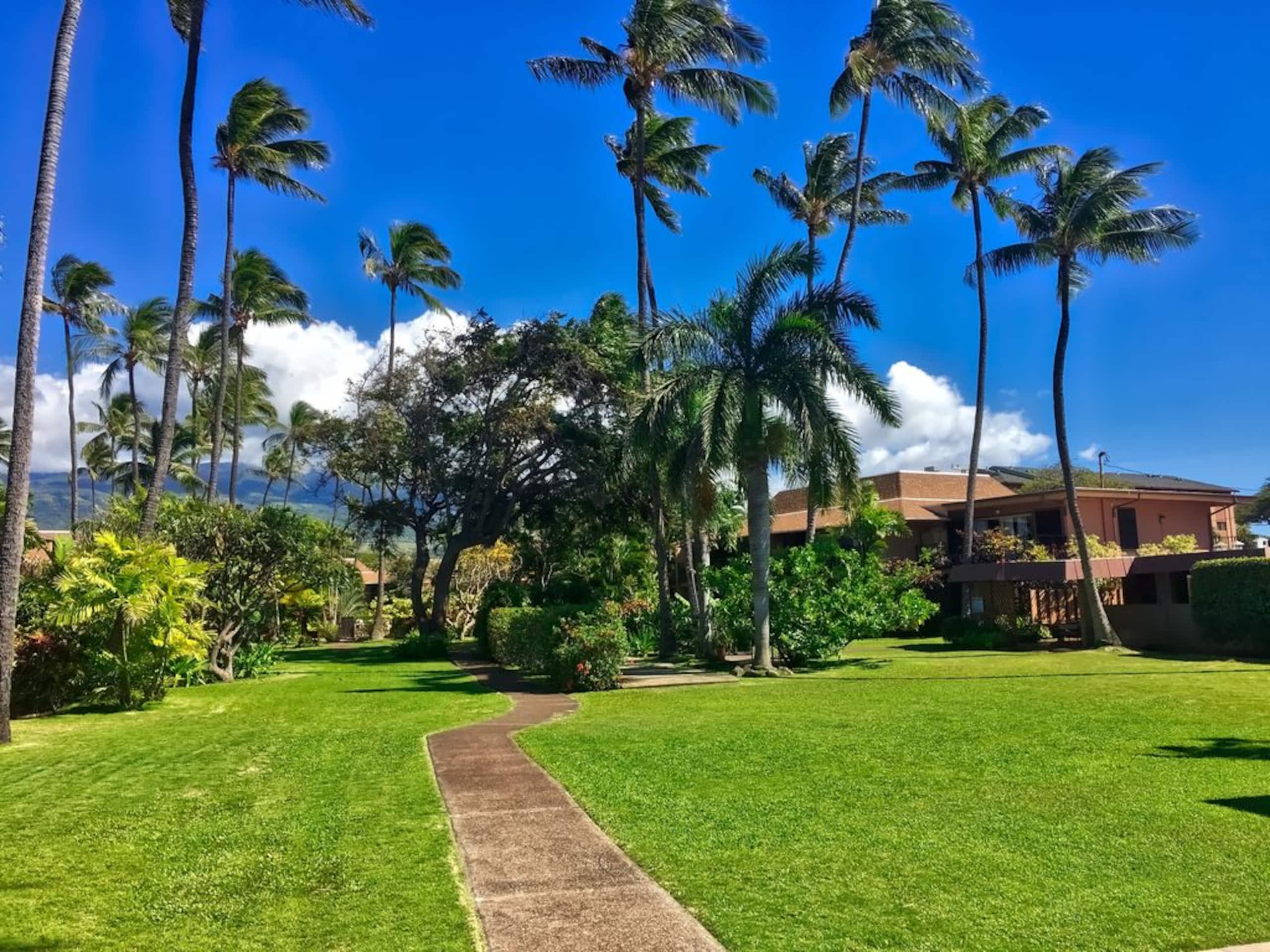 A jewel on Oceanfront & Breath Taking Views. - Photo 7