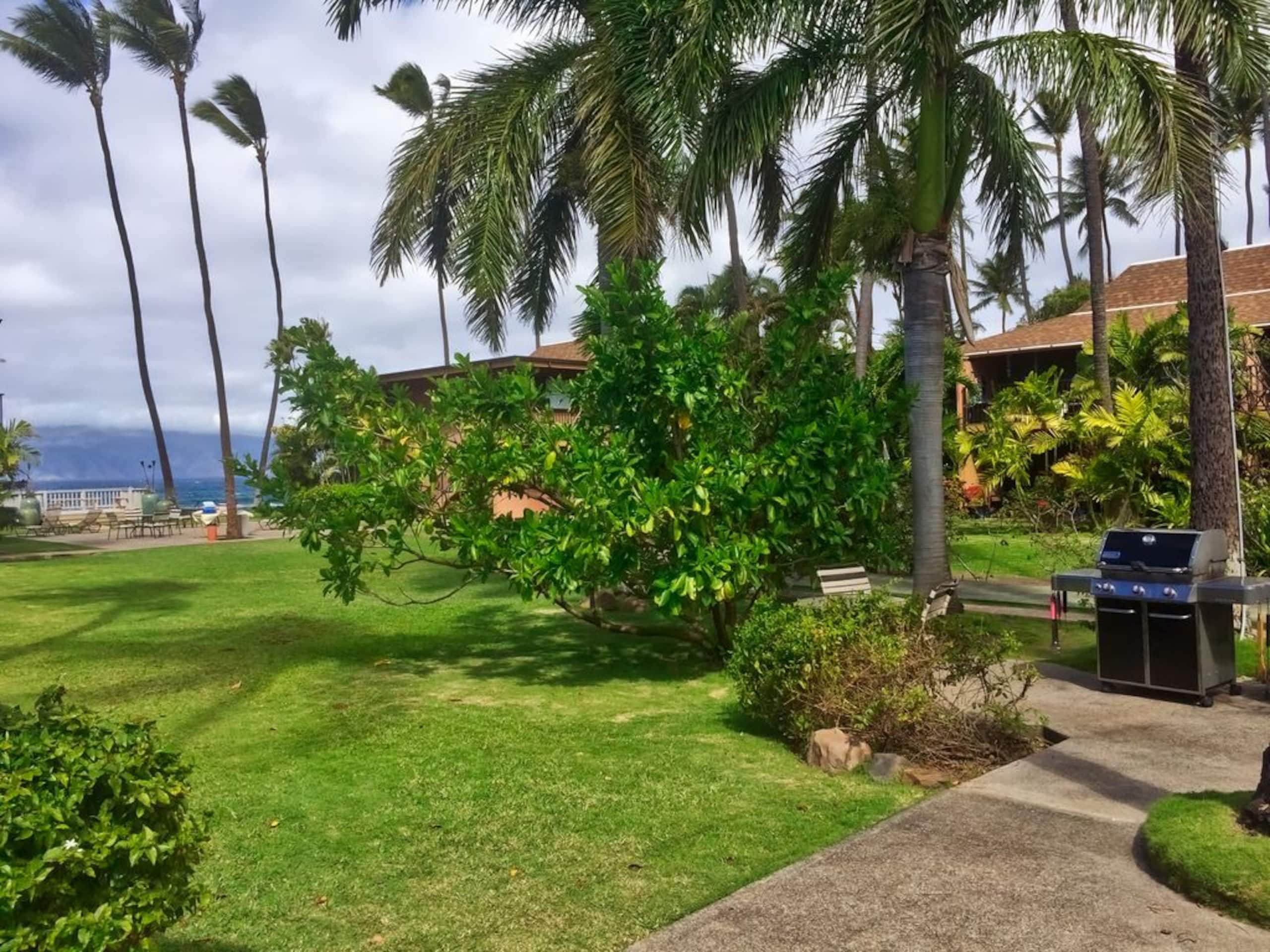 A jewel on Oceanfront & Breath Taking Views. - Photo 6